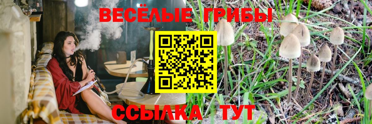 Псилоцибиновые грибы Psilocybine cubensis  Галлюциногенные грибы Psilocybe  Вход с VPN  Сибай 